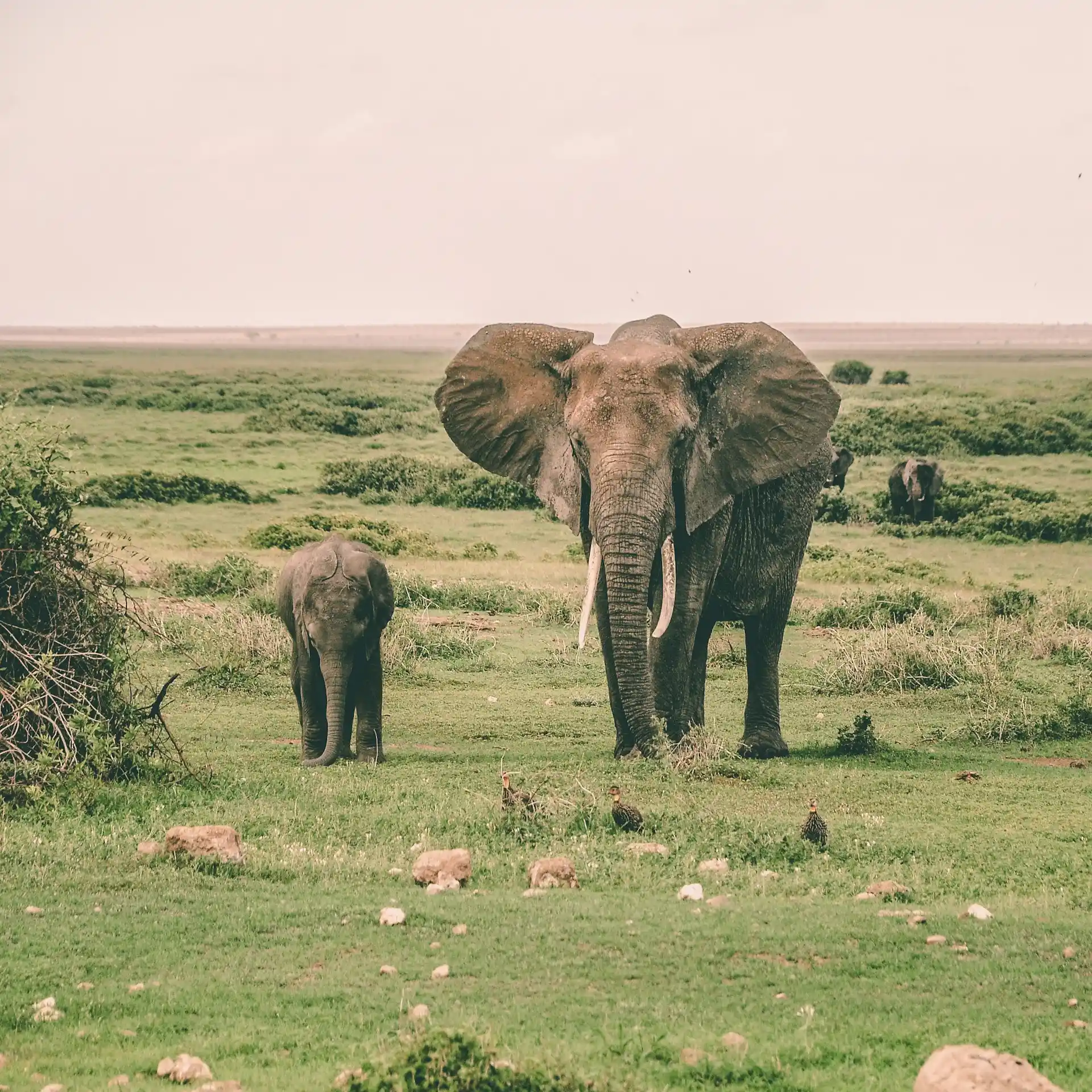 harshil gudka VCAxkOfxtNI unsplash